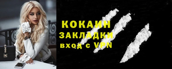 гашик Богданович