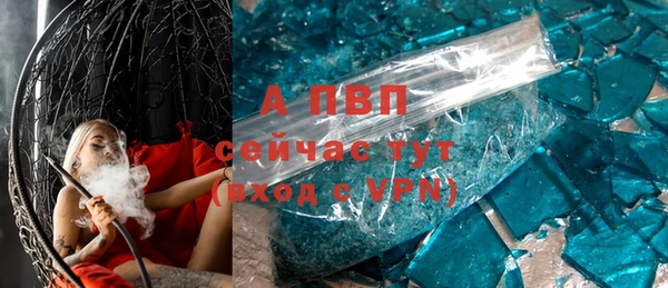 гашик Богданович