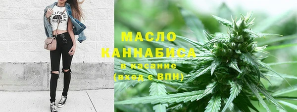 гашик Богданович