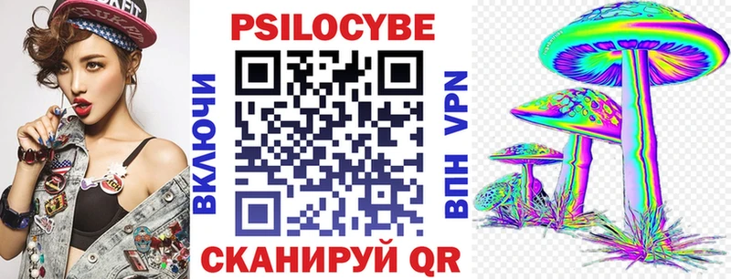 где найти   Лыткарино  Галлюциногенные грибы GOLDEN TEACHER 